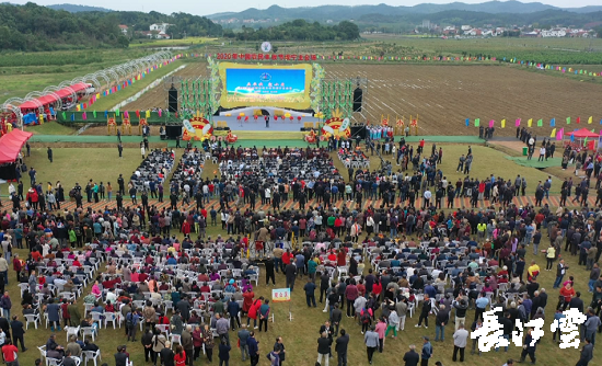 9月21日,咸寧市咸安區(qū)高橋蘿卜小鎮(zhèn)百畝草地上舉行了“慶豐收·迎小康”第三屆中國農(nóng)民豐收節(jié)湖北分會場咸寧主會場慶?;顒?,全市各界農(nóng)民代表相聚白水畈的美麗田野,分享豐收的喜悅,慶祝屬于自己的節(jié)日。 開幕式上舉行了精彩的文藝演出,演出在舞蹈《慶豐收》中拉開序幕,歌舞《錦繡小康》呈現(xiàn)出咸寧各地欣欣向榮、脫貧致富奔小康的幸福場景。網(wǎng)紅歌曲《你莫走》、舞蹈《慶豐收》、歌舞《一起幸福》,一個(gè)個(gè)精彩的節(jié)目輪番上演,博得現(xiàn)場觀眾陣陣掌聲。 開幕活動現(xiàn)場還舉行了頒獎(jiǎng)儀式,第二屆“美麗中國、鄉(xiāng)村振興”全國農(nóng)民詩歌邀請賽獲獎(jiǎng)組織和個(gè)人,全市農(nóng)村人居環(huán)境整治示范村,省級農(nóng)業(yè)產(chǎn)業(yè)化工作先進(jìn)集體和先進(jìn)個(gè)人上臺領(lǐng)獎(jiǎng)?,F(xiàn)場還舉行了鄂南民俗展演、農(nóng)民趣味運(yùn)動會、扶貧農(nóng)產(chǎn)品以及咸寧特色農(nóng)產(chǎn)品展銷等豐富多彩的活動?;鸨娜藲猓屧趫龅恼逛N商賺得是盆滿缽滿。 咸寧市咸安區(qū)鑫達(dá)種養(yǎng)專業(yè)合作社理事長萬永輝:今年家里的香菇都豐收了,一上午我就賣出了一萬多元,我們合作社采取的是“合作社+農(nóng)戶”的模式,也帶領(lǐng)了20多戶貧困戶脫貧了。 咸寧市致遠(yuǎn)種植專業(yè)合作社理事長 吳海兵:我們今年是真真正正地豐收了,我們生姜的價(jià)格足足翻了三倍,跟著我們一起的貧困戶也平均增收了3000元左右。 而這一系列的活動,都是在蘿卜小鎮(zhèn)的草地上進(jìn)行的,草地作舞臺、草地搞展示、草地上比賽等等,這數(shù)百畝草地,此時(shí)此刻成為了咸寧農(nóng)民們慶祝豐收的歡樂場。 咸寧市咸安區(qū)高橋鎮(zhèn)黨委書記王順榮:今年的湖北分會場在我們高橋蘿卜小鎮(zhèn)舉辦,我感到很榮幸,我們從一顆蘿卜做起,以白水畈蘿卜為核心品牌,打造白水畈"我家菜園"蔬菜基地及旅游觀光體驗(yàn)中心,發(fā)展綠色農(nóng)業(yè)、生態(tài)旅游,增加產(chǎn)業(yè)開發(fā)的綜合效益,創(chuàng)建蘿卜特色小鎮(zhèn),走出了一條農(nóng)業(yè)、旅游相結(jié)合的新路,推動高橋鎮(zhèn)一二三產(chǎn)業(yè)融合發(fā)展。 鄉(xiāng)親們說,這在以前是想都不敢想的,高橋鎮(zhèn)蝸居山里,太偏遠(yuǎn)又沒有資源優(yōu)勢,想發(fā)展太難。而現(xiàn)在這一切的悄然改變,得益于2017年10月13日,咸安區(qū)政府與鄂旅投公司正式簽署的《131軍旅小鎮(zhèn)+白水畈田園綜合體旅游開發(fā)投資合作協(xié)議》,鄂旅投公司將投資30億元,在高橋鎮(zhèn)打造131軍旅小鎮(zhèn)和白水畈田園綜合體旅游開發(fā)項(xiàng)目。項(xiàng)目共分為131軍旅小鎮(zhèn)、白水畈美麗鄉(xiāng)村、特色農(nóng)業(yè)示范、旅游綜合體四大板塊,打造旅游綜合服務(wù)區(qū)、澄水洞軍事展示區(qū)、青少年國防教育基地、鐵血軍事樂園區(qū)、戰(zhàn)狼訓(xùn)練基地、美麗村灣民俗區(qū)、四季瓜果示范區(qū)、農(nóng)耕文化展示區(qū)、特色商業(yè)街區(qū)和康養(yǎng)度假區(qū)十大功能區(qū)。 咸寧市咸安區(qū)高橋鎮(zhèn)黨委書記王順榮:我們引進(jìn)鄂旅投,打造蘿卜小鎮(zhèn),目前建設(shè)有蘿卜小鎮(zhèn)科普館、蘿卜鄉(xiāng)學(xué)院、蘿卜酒店等休閑旅游項(xiàng)目,十一馬上到了,也歡迎廣大游客前來游玩。 今年是決勝全面建成小康社會、決戰(zhàn)脫貧攻堅(jiān)之年。咸寧市本著"儉樸、祥和、歡樂,農(nóng)民參與,農(nóng)民唱主角"的辦節(jié)思路,而此屆中國農(nóng)民豐收節(jié)辦節(jié)費(fèi)用也是倍減。 農(nóng)為邦本,本固邦寧。今年,面對重大疫情和特大洪澇災(zāi)害,咸寧市扎實(shí)做好“六穩(wěn)”工作、落實(shí)“六保”任務(wù),克服重重困難,推動農(nóng)業(yè)實(shí)現(xiàn)持續(xù)平穩(wěn)發(fā)展,形成了茶葉、油茶、中藥材等12個(gè)特色農(nóng)業(yè)主導(dǎo)產(chǎn)業(yè),“全國一村一品示范村鎮(zhèn)”發(fā)展到14家,國家級、省級農(nóng)業(yè)產(chǎn)業(yè)化龍頭企業(yè)達(dá)到55家。尤其是糧食產(chǎn)量預(yù)計(jì)達(dá)118萬噸、蔬菜產(chǎn)量預(yù)計(jì)達(dá)260萬噸,生豬預(yù)計(jì)出欄183.52萬頭,農(nóng)業(yè)生產(chǎn)再獲豐收,糧食安全有效保障,讓農(nóng)民的腰包更鼓、家園更美、生活更甜,為加快實(shí)施鄉(xiāng)村振興戰(zhàn)略、推動咸寧高質(zhì)量發(fā)展提供堅(jiān)實(shí)保障。